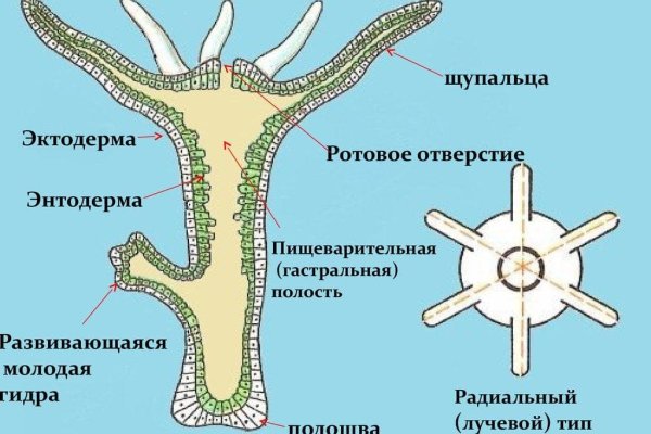 Что будет если зайти в кракен
