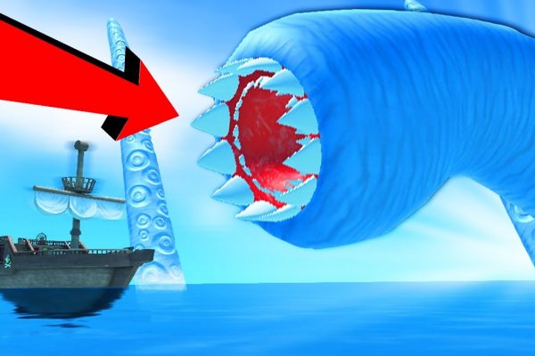 Kraken 20at net