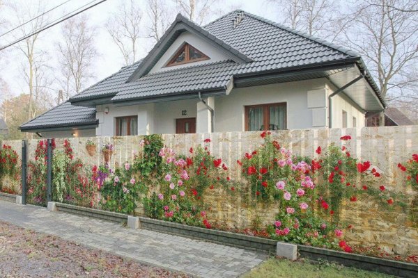 Кракен зеркало