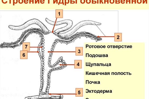 Кракен оригинальные ссылка в тор