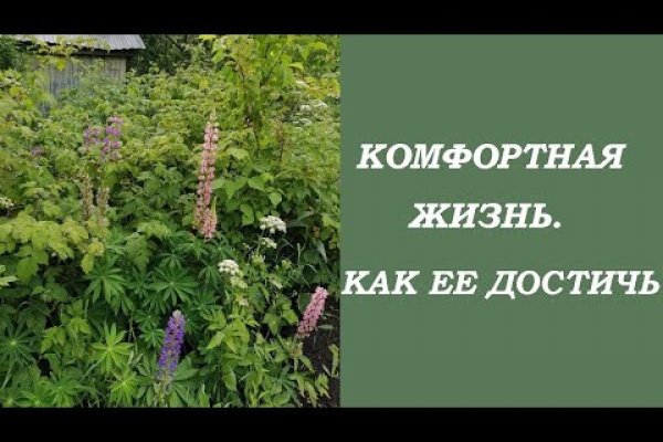 Наркотики заказать
