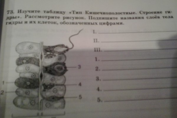 Кракен зеркало 2