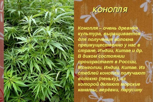 Сайт кракена в торе
