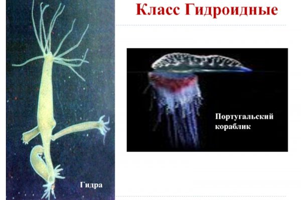 2krn live