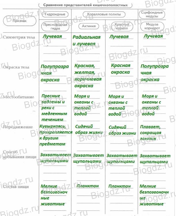 Кракен зеркало krakenat2krnkrnk com